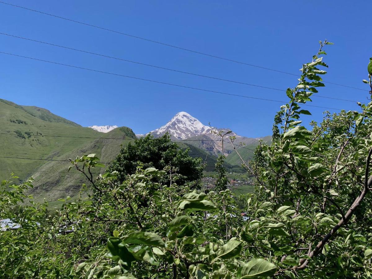 Geo Inn Kazbegi Bagian luar foto