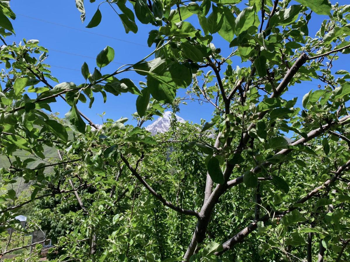 Geo Inn Kazbegi Bagian luar foto